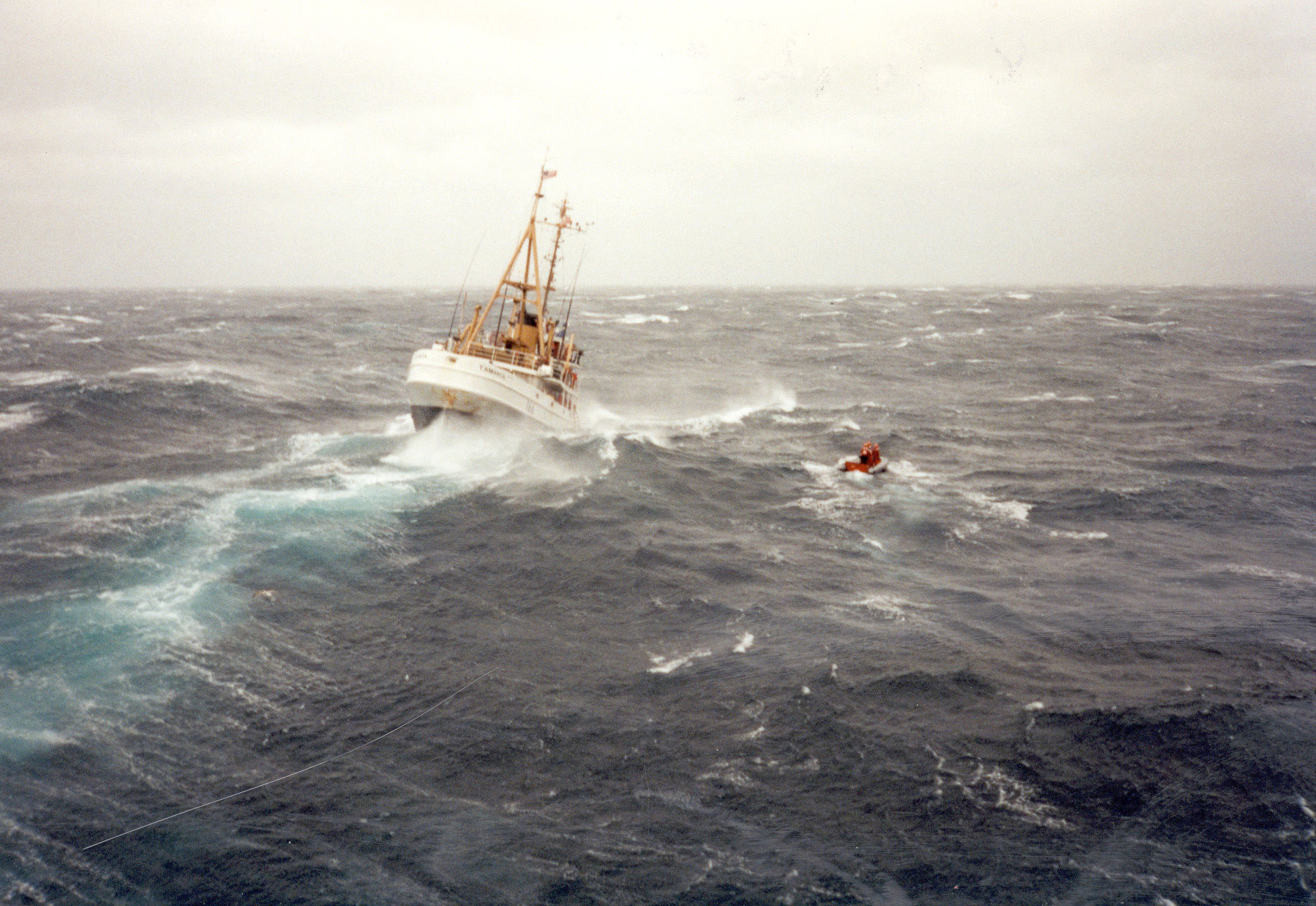 USCGC Tamaroa (WHEC-166) pitches and rolls in heavy seas during the rescue of Satori, during "The Perfect Storm". (U.S. Coast Guard)