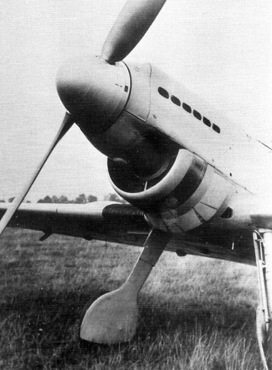 This photograph shows teh two-bladed wooden Schwarz propeller installed on D-IAGI. The position of the exhaust ports high on teh engine cowling indicated the use of a Rolls-Royce Kestrel V-12 engine. (National Air and Space Museum)